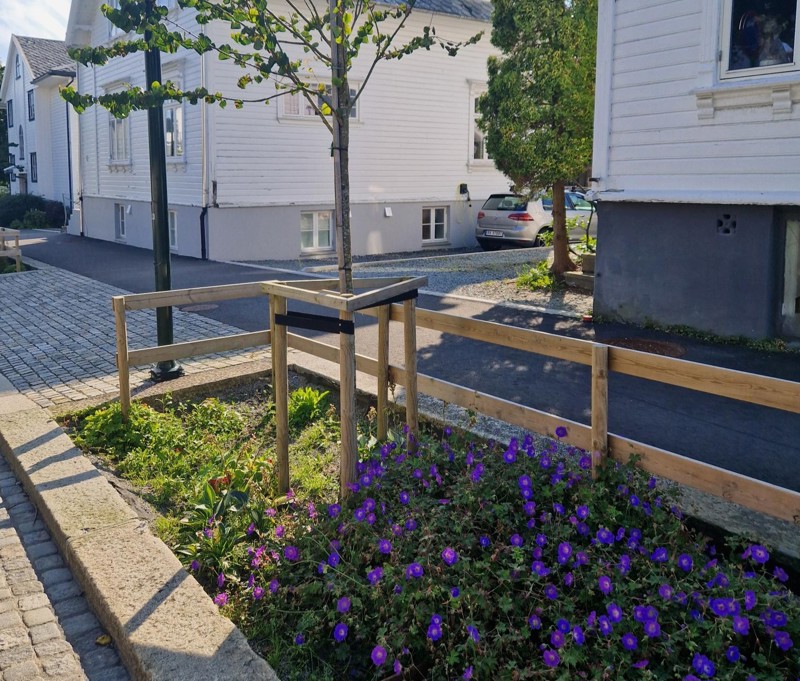 Regnbed med lilla blomster og et tre. Hvite trehus, vei og bil i bakgrunnen.