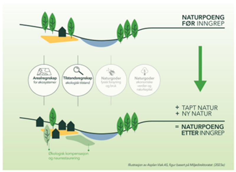 Prinsippene bak naturpoengmetodikk