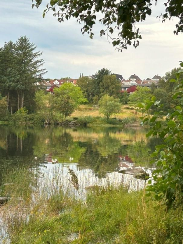 Vik i Store Stokkavatnet 