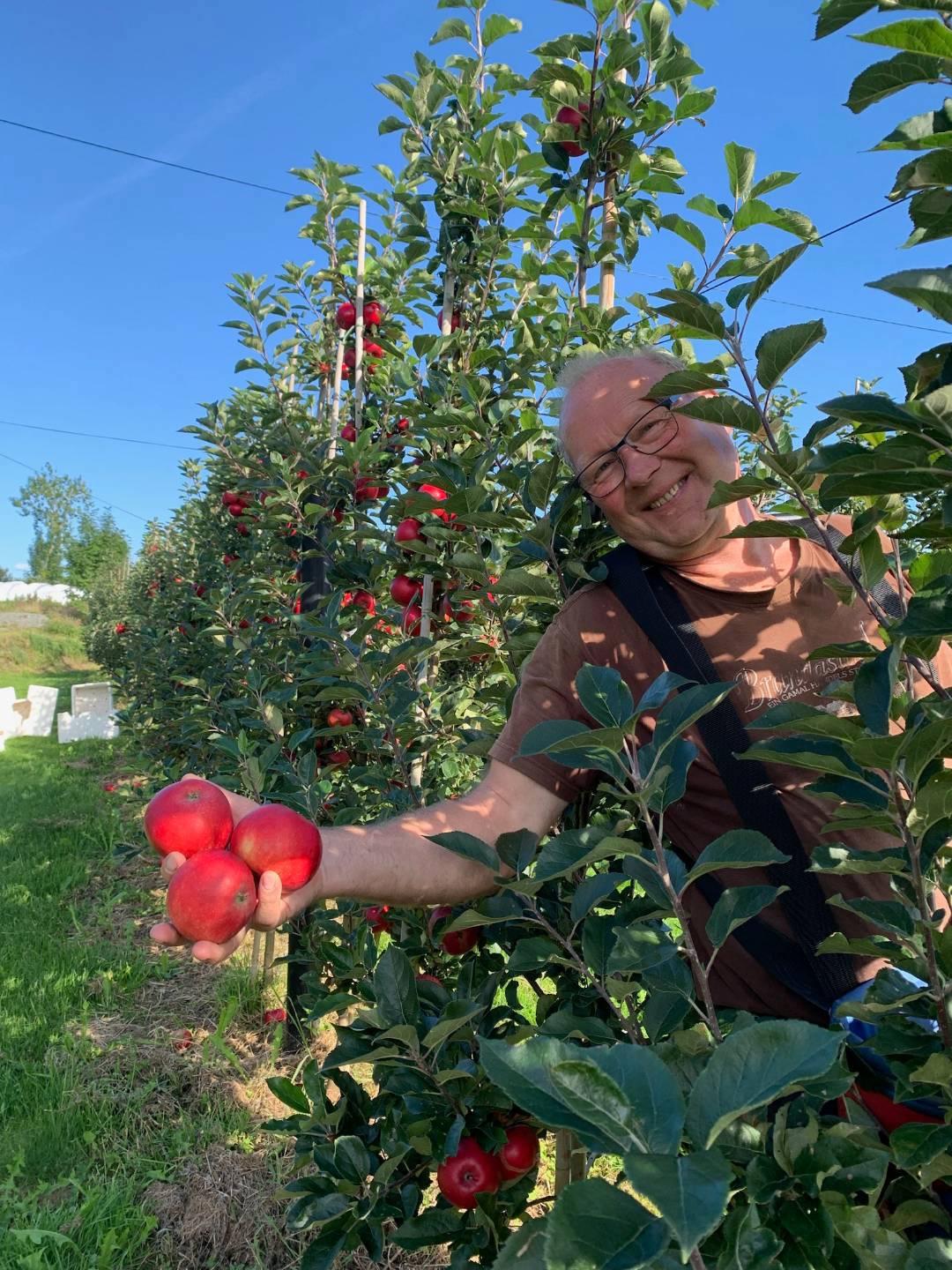 mann smiler med røde epler i hendene