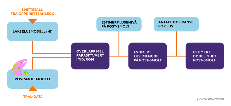 Lusemodellen til HI og di