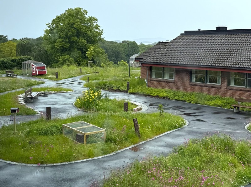 Overblikksbilde av uteområdet til Ramsvigtunet sykehjem. En fin hage med grønt gress og planter. 
