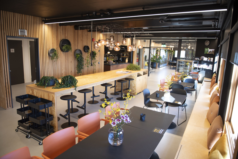 Kafeområde/fellesområdet. Langt bord med stoler