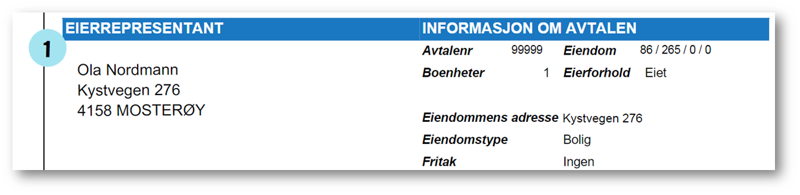 Bilde viser ett utklipp av eierrepresentant på skatteseddel. 