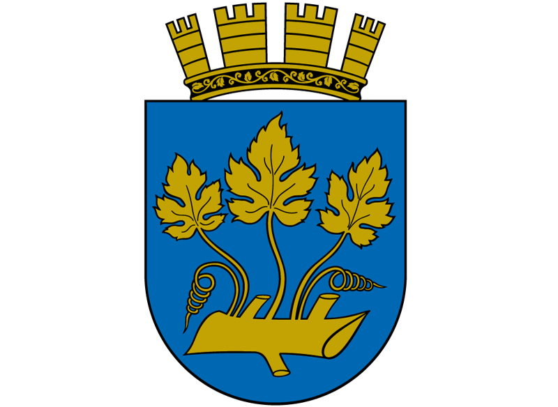 Kun kommunevåpenet alene