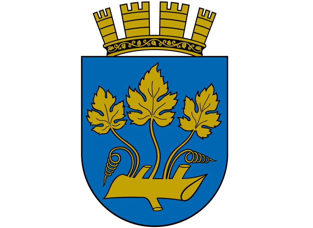 Kun kommunevåpenet alene