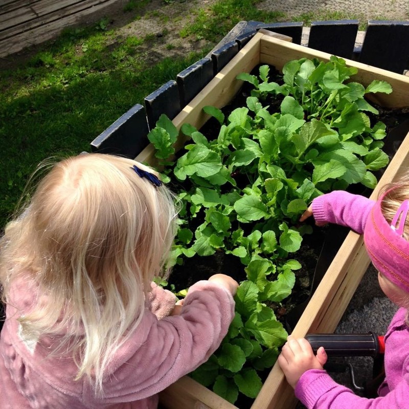 Byhaugen barnehage, dyrking, jpg