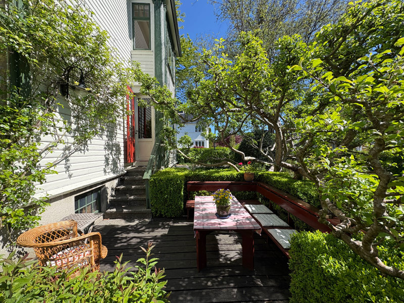 Koselig epletre innunder et epletre