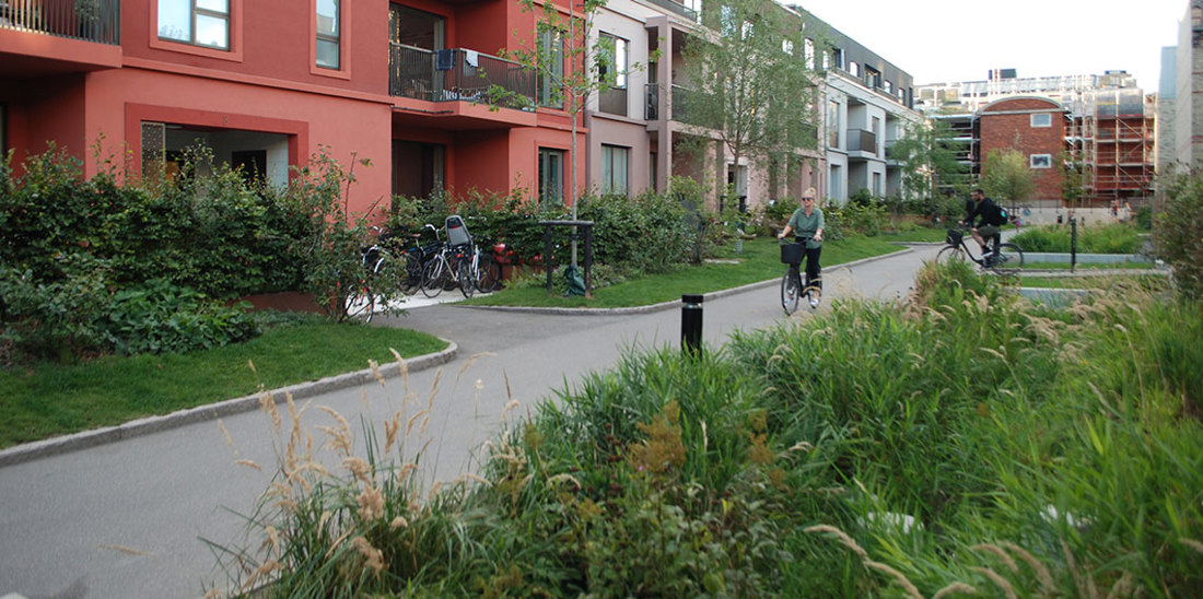 Det grønne: Carlsbergbyen i København. De nye boligene i det nedlagte fabrikkområdet er omgitt av frodig bynatur. Det er det grønne som danner sammenhengene, og bygninger og gangveier er ordnet etter de rike
landskapskvalitetene. Slik er det bynaturen som gir området identitet. Landsapsarkitekt: Schönherr Landskab