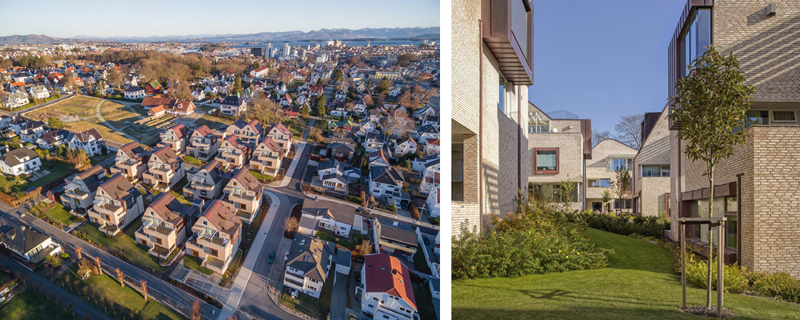 to bilder av holmegenes