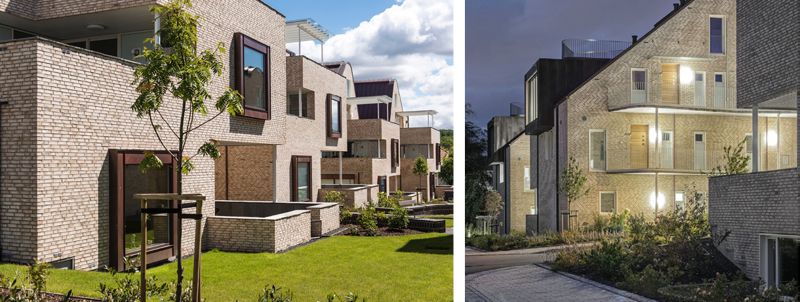 to bilder av holmegenes