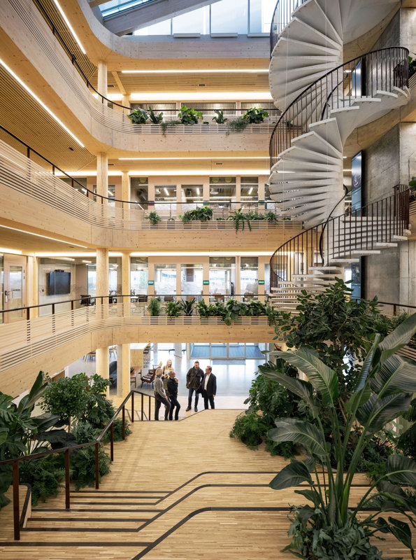 Bilde fra atriet i midten av bygget, med mye tre og grønne planter. Innoasis har en arkitektur som gir rom for både arbeidsplasser og arrangementer. De ulike sosiale sonene i og rundt atriet samler brukerne, åpner for tilfeldige møter og utveksling. 
