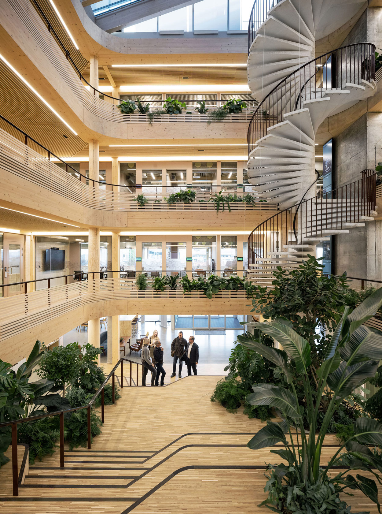 Bilde fra atriet i midten av bygget, med mye tre og grønne planter. Innoasis har en arkitektur som gir rom for både arbeidsplasser og arrangementer. De ulike sosiale sonene i og rundt atriet samler brukerne, åpner for tilfeldige møter og utveksling.