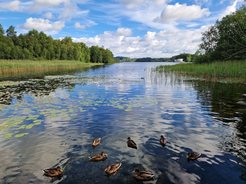 Bilde av Store Stokkavatnet