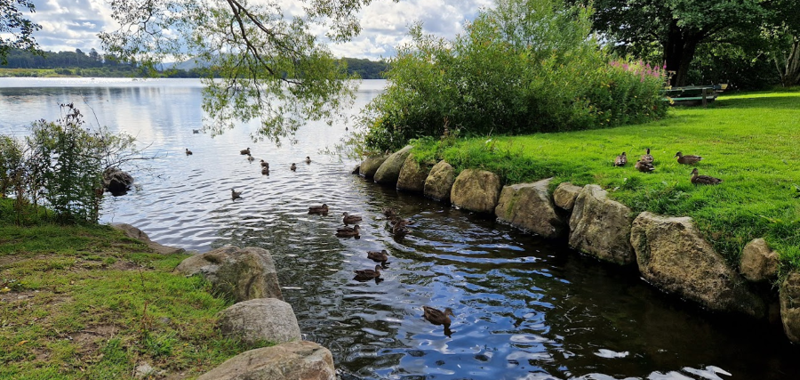 Bilde av bekk ved Mosvatnet