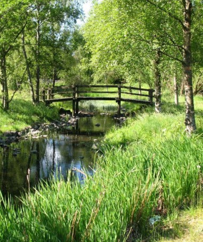 Bilde av rensepark ved Missisippidammen