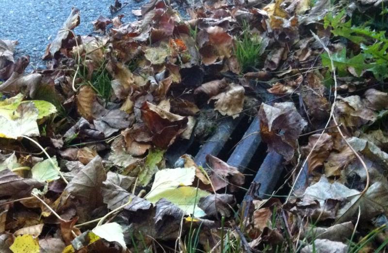 Avløpsrist for vann ute i gata, delvis dekket av løv