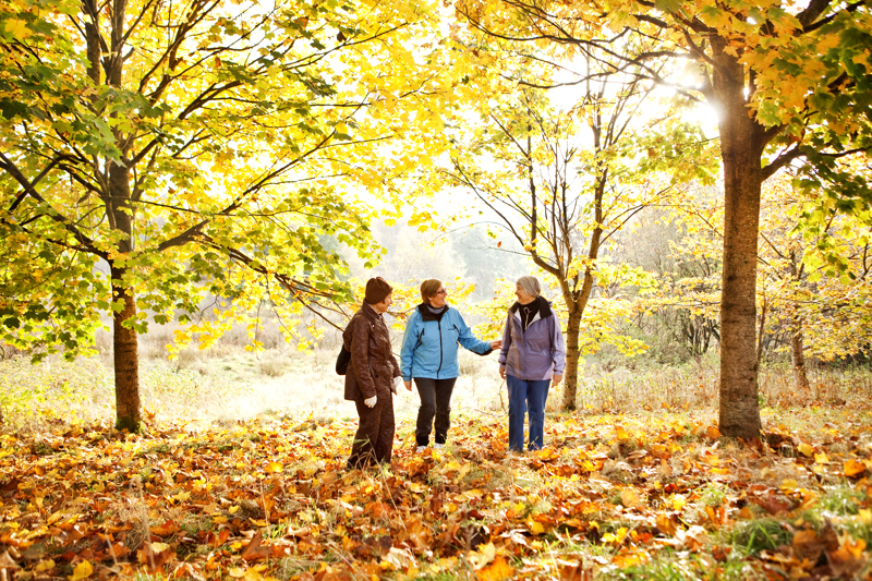 Tre eldre mennesker i en skog med høstfarger