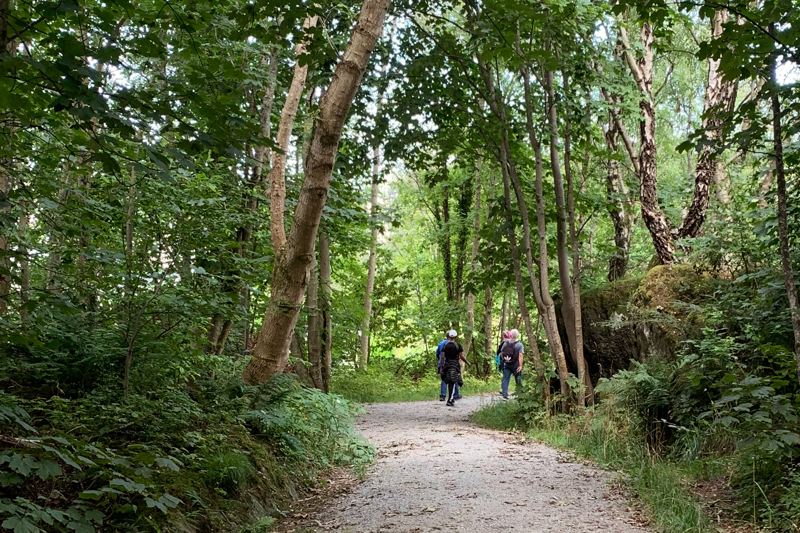 Tre personer som går på en turvei med grønne trær rundt.