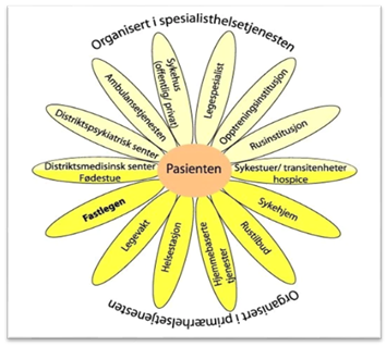 allmennlege struktur