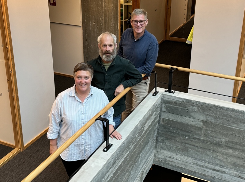 Bylivsleder Kathrine Sørnes, kulturavdelingens Stein Andreassen og næringsavdelingens Knud Helge Robberstad står bak kommunens nye temaplan for arrangementer. 