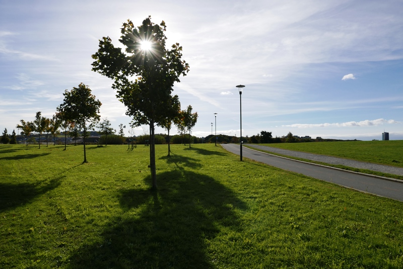 Parkområde på kulverten mellom Mosvannsparken og Vålandskogen.