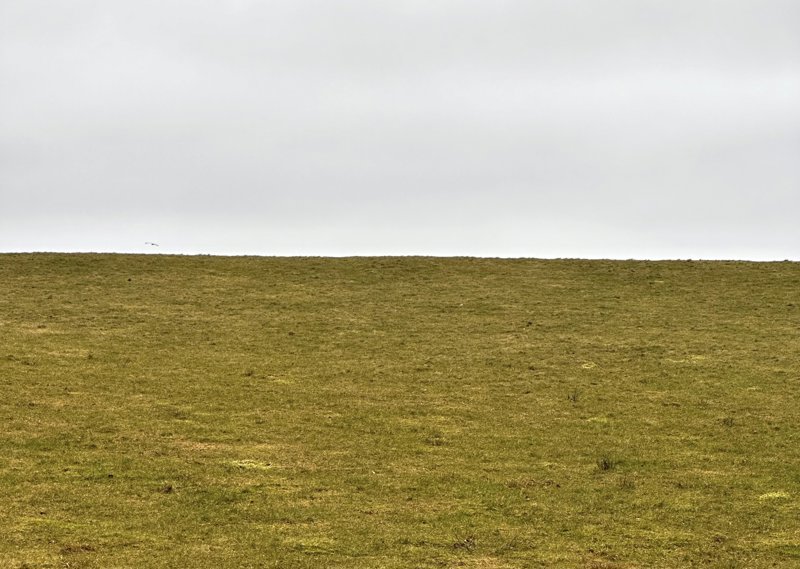 Bildet er et fotografi av kulverten ved Mosvannsparken i Stavanger. Omtrent halvparten av bilde er grønt gress, og den andre halvdelen er grå himmel. 