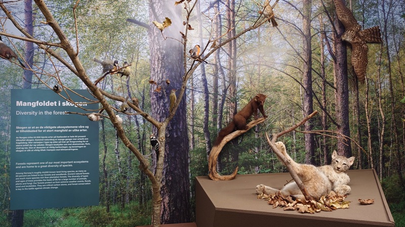 Ny utstilling ved Stavanger museum, "Vår natur?" Åpner 23. mars.