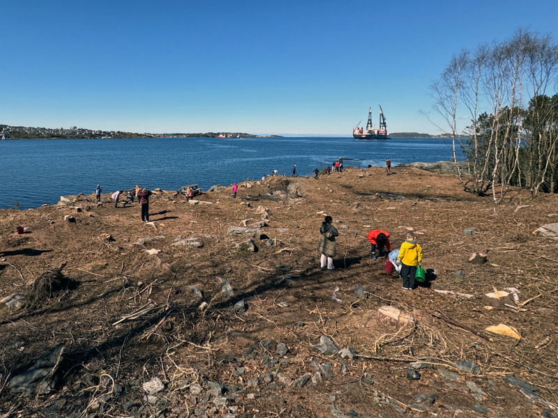 Elever som planter trær på et stort øde område ved sjøen.