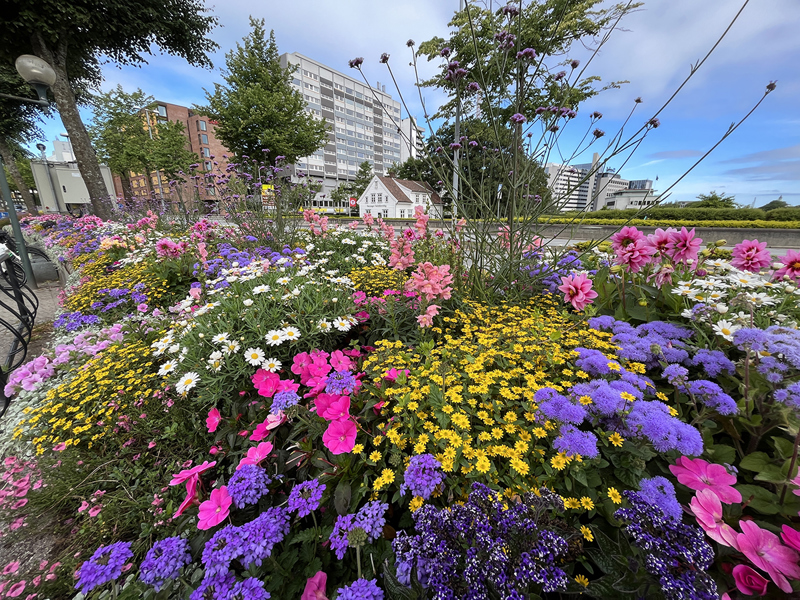 Blomsterbedet ved Rogaland Teater