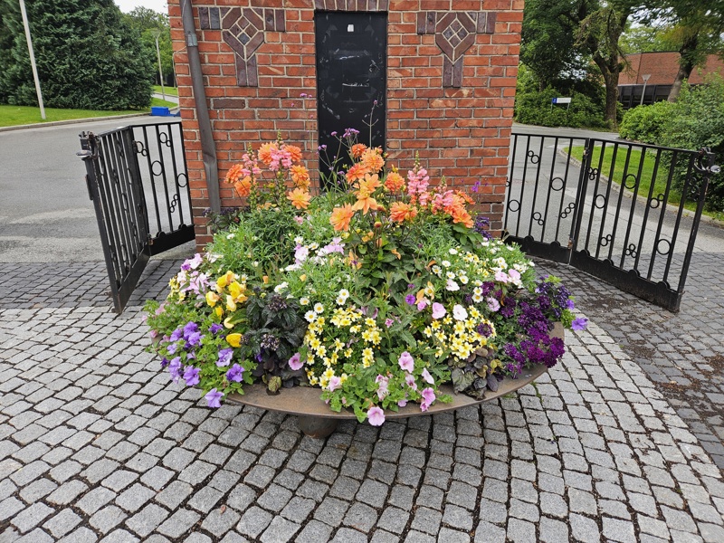 Kommunens blomsterbed i 2024