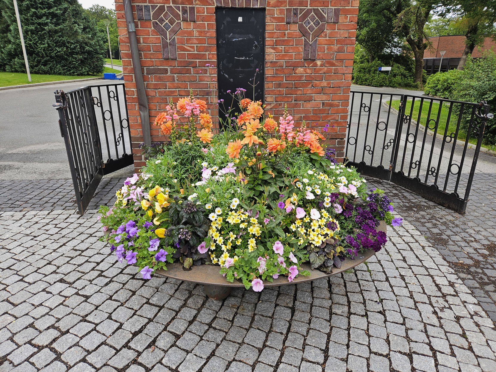 Kommunens blomsterbed i 2024