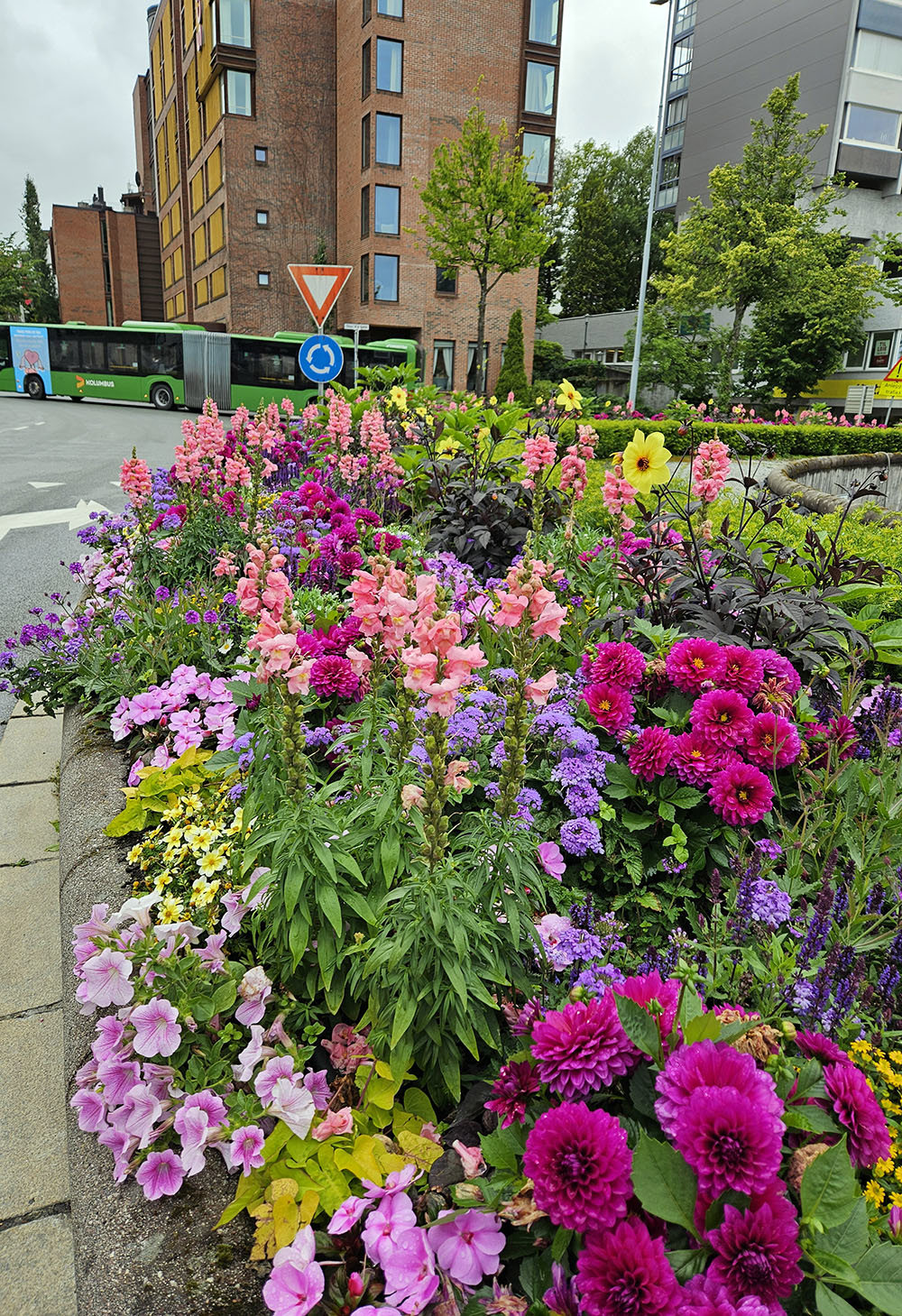 Kommunen setter ut blomster i sentrum