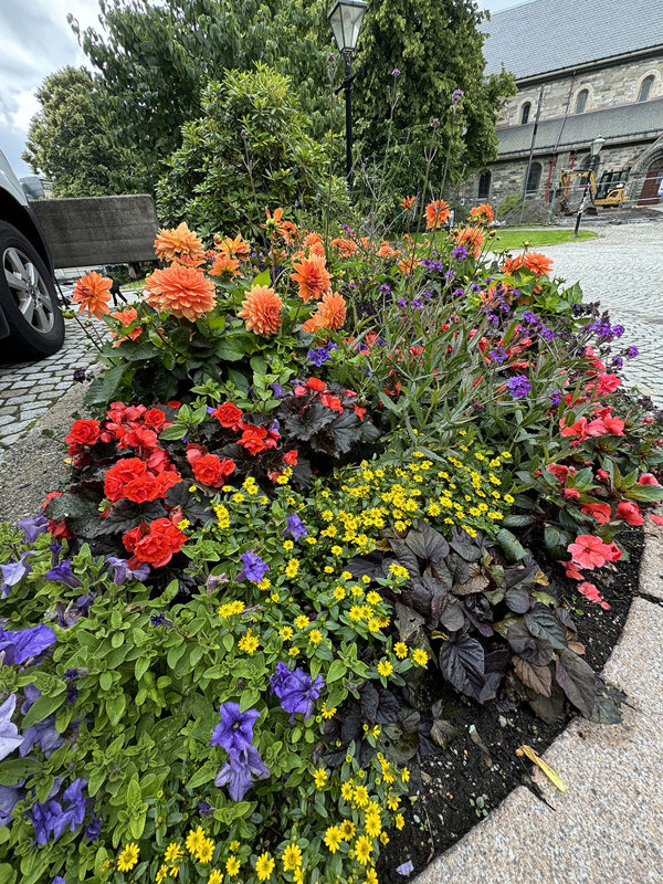 Kommunen setter ut blomster i sentrum