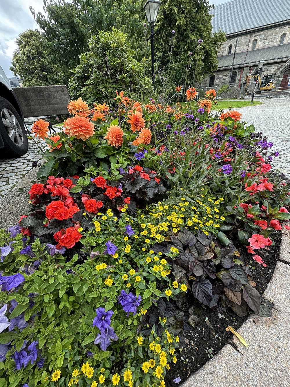 Kommunen setter ut blomster i sentrum