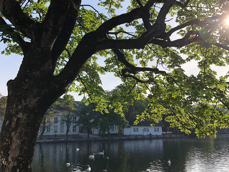 Byparken i Stavanger