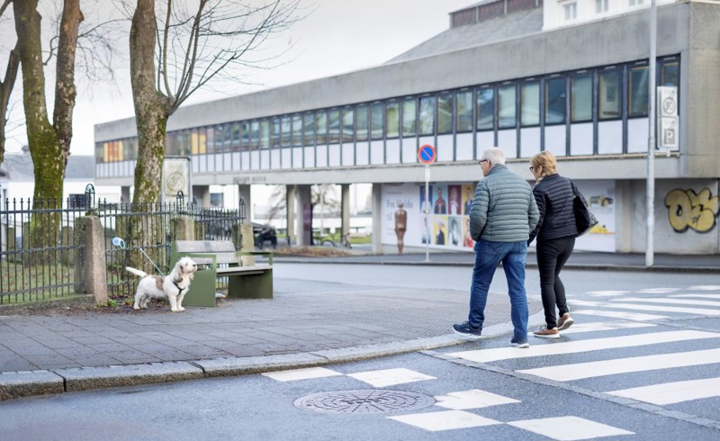 Vi ser to personer, en dame og en mann, som går nedover Museegaten. De ser på en hund som står i bånd ved siden av en grønn benk foran dem.  