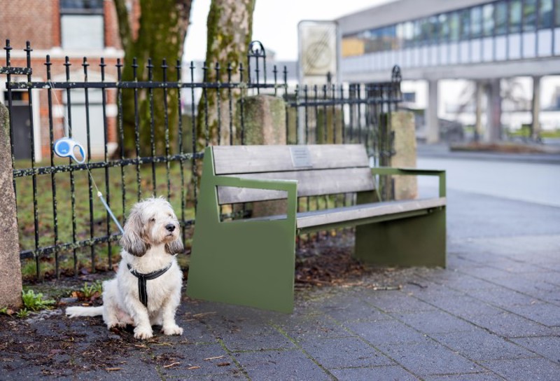 Vi ser en grønn benk, med stålkanter og tre i setet og rygg. En liten lys hund sitter lydig ved siden av, i et bånd festet til gjerdet bak. Det er på Våland, på hjørnet i Museegaten utenfor Fylkeskommunen og Stavanger museeum.