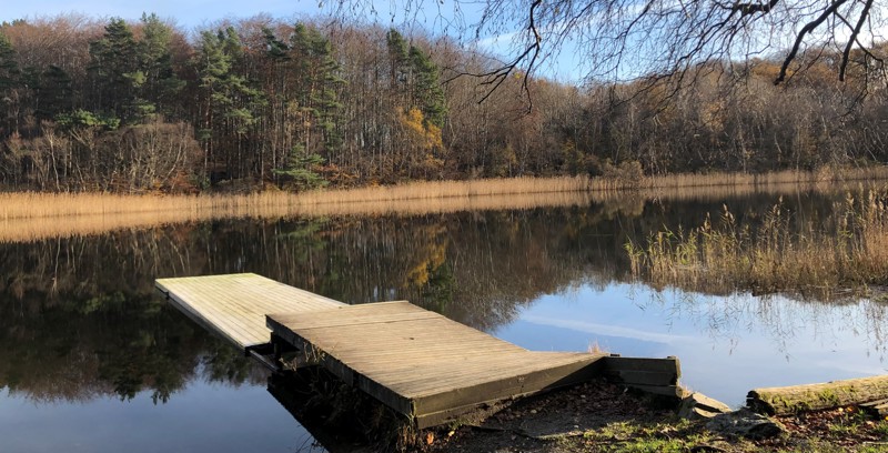 Viser brygga og naturen nedenfor Dyrsnes naturlåve i fine høstfarger.