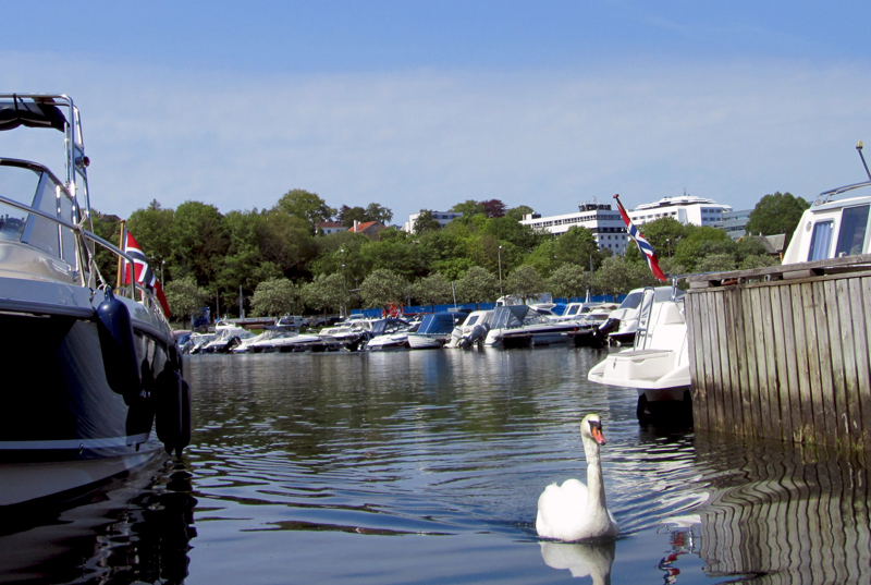 Hillevågsvatnet. Foto: Ståle Madland Schjelderup