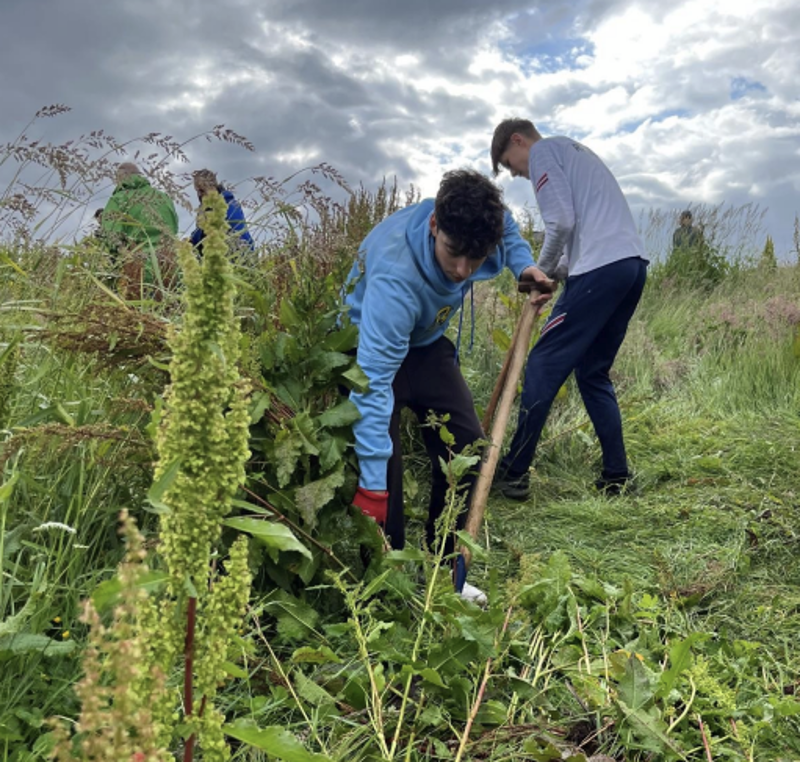 gutter river opp høymole med spett