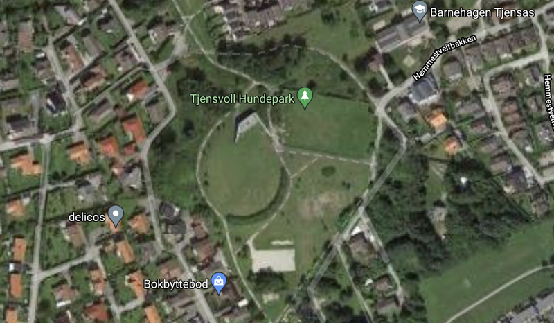 Hundelufting Tjensvoll