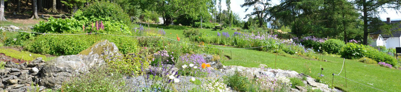 Stavanger botaniske hage