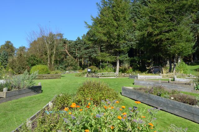 Urtehagen i Stavanger botaniske hage