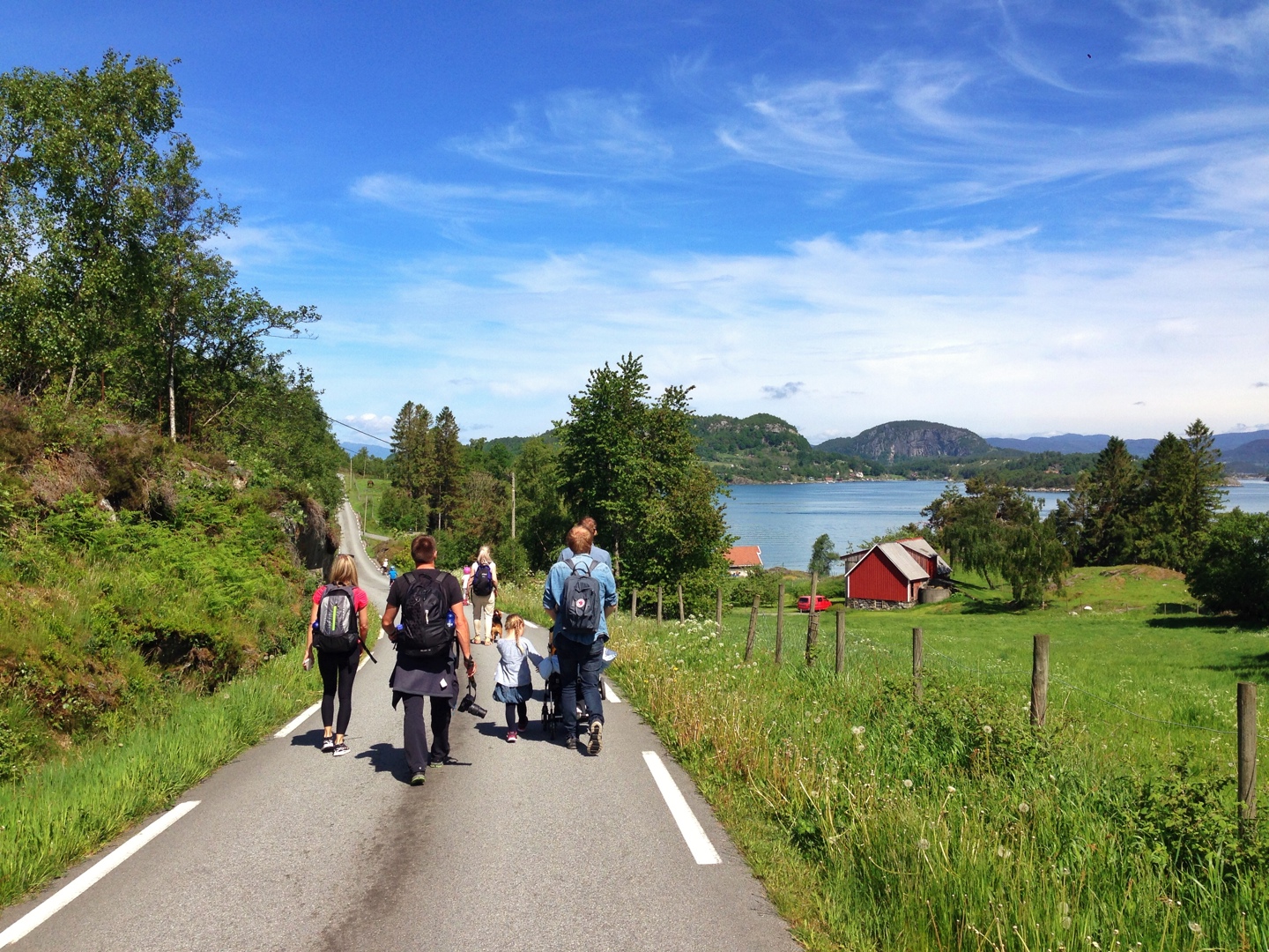 Fogn på en fin dag! (Foto: Sigrun Sætrevik)