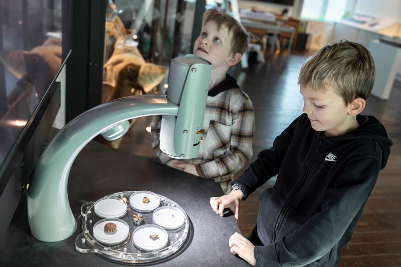 Foto: Fra utstillingen «Vår natur?» på Stavanger museum med Norsk barnemuseum