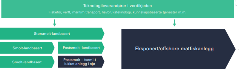 Flytskjema post-smolt og havbasert/konvensjonelt havbruk