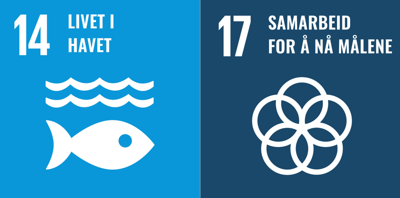 Bærekraftsmål 14 og 17 i skjønn forening