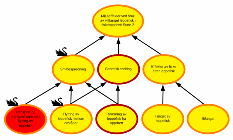 Flytdiagram viser høy grad av usikkerhet knyttet til fangst og bruk av leppefisk