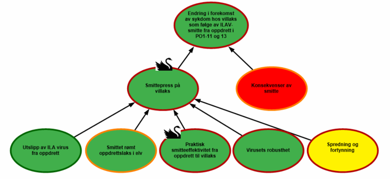 Flytdiagram som viser risiko knyttet til  virus som gir infeksiøs lakseanemi